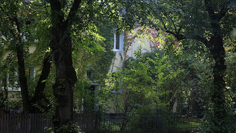 Viel Grün und viel Ruhe: Ein verwunschenes, schon sehr stark eingewachsenes Idyll an der Auffahrtsallee. Viel Grün und viel Ruhe: Ein verwunschenes, schon sehr stark eingewachsenes Idyll an der Auffahrtsallee.