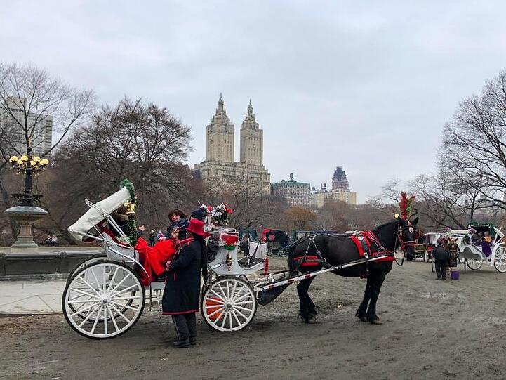 Kutsche im Central Park.
