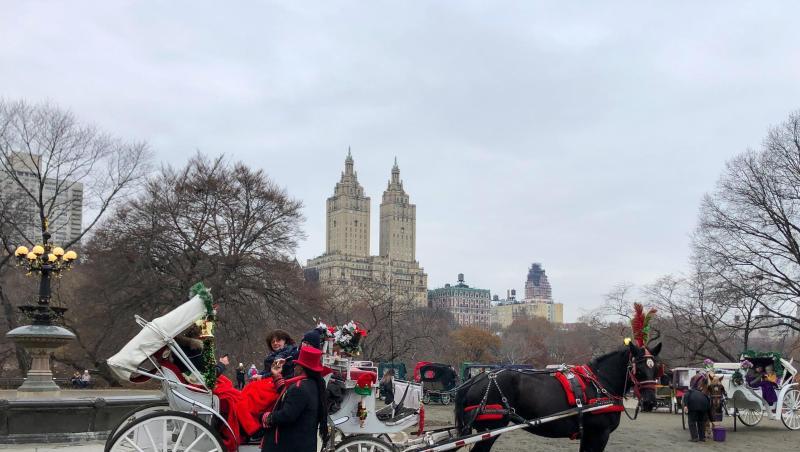 Kutsche im Central Park. Kutsche im Central Park.