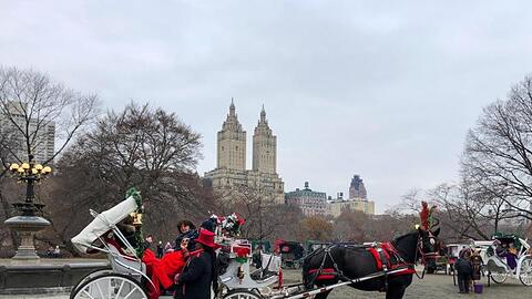 Kutsche im Central Park.