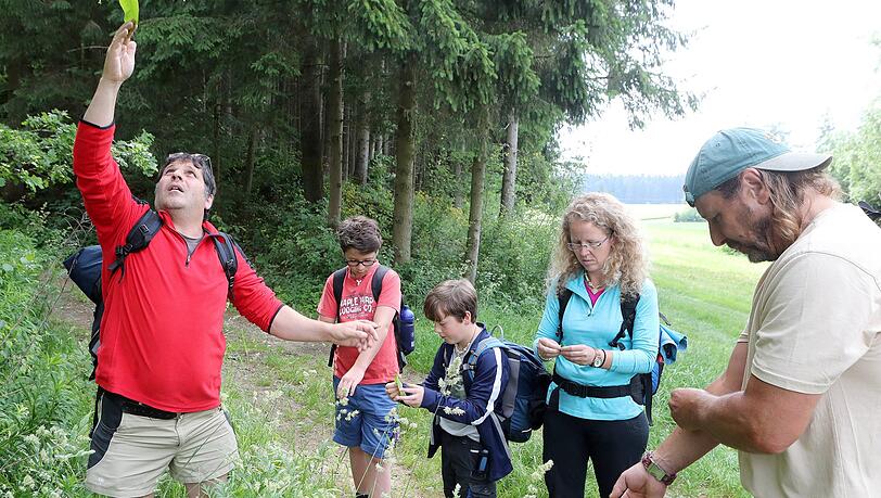 Gegen Mücken hilft das Einreiben mit Walnussbaumblättern. Gegen Mücken hilft das Einreiben mit Walnussbaumblättern.