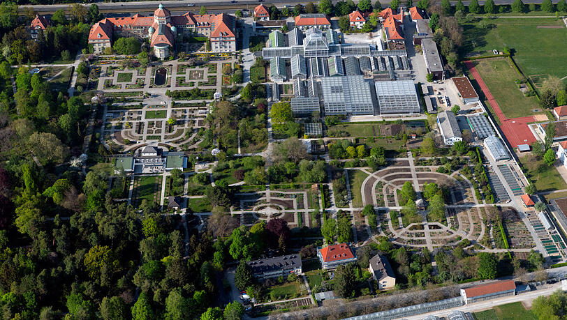 Der Botanische Garten ist beim "Flower Power Festival" intensiv miteingebunden. Von Februar bis Oktober gibt es dort Führungen, Konzerte, Krimi-Lesungen im dunklen Gewächshaus und Vorträge zu Naturschutz und Artenvielfalt.