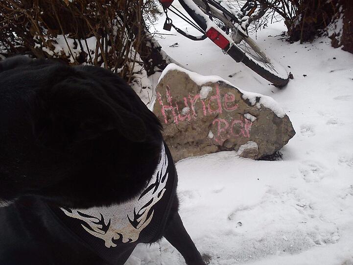 Bo an der "Hundebar"