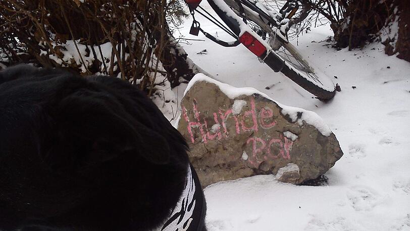 Bo an der "Hundebar" Bo an der "Hundebar"