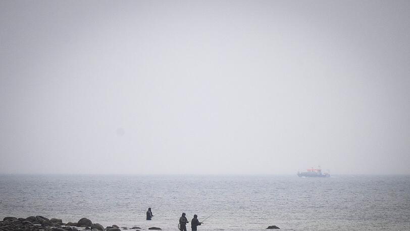 Das Boot "Uecker" von der Wasserschutzpolizei sucht den Wal an der Ostseek&uuml;ste.