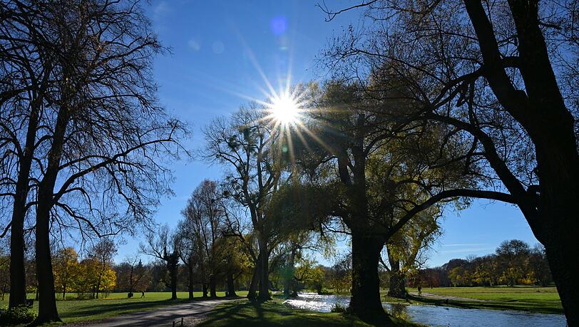 Die Sonne scheint durch Bäume im Englischen Garten: In Bayern soll es in den kommenden Tagen sonnig und mild werden. (Archivbild) Die Sonne scheint durch Bäume im Englischen Garten: In Bayern soll es in den kommenden Tagen sonnig und mild werden. (Archivbild)