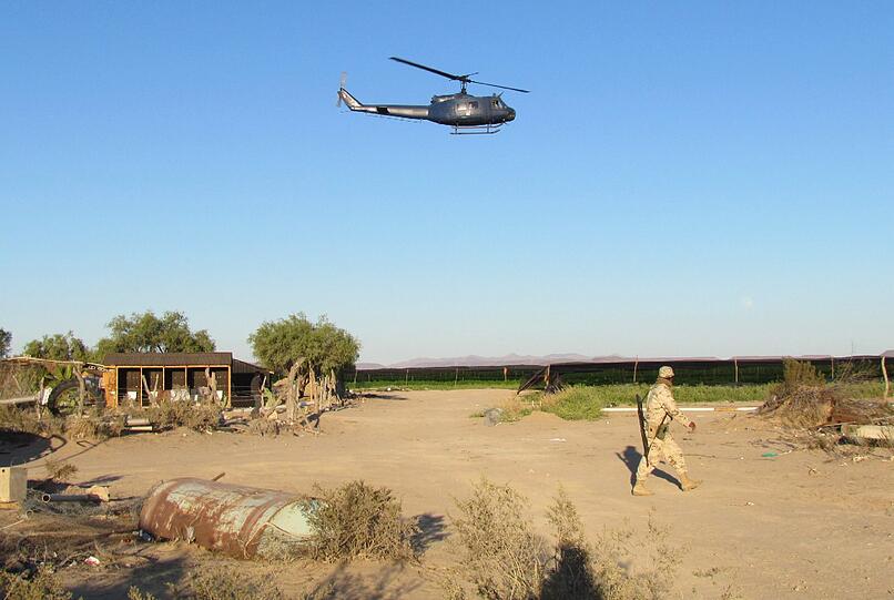 Mexikanische Soldaten haben am Donnerstag die wohl größte Marihuana-Plantage in der Geschichte des Landes entdeckt.