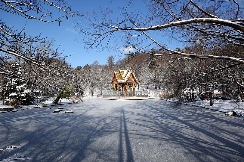 Unterwegs im Westpark. Ganz erstarrt: die thailändische Sala mit ihrer Buddha-Statue. Mehr Bilder vom Winterwunderland gibt es hier zum Durchklicken.