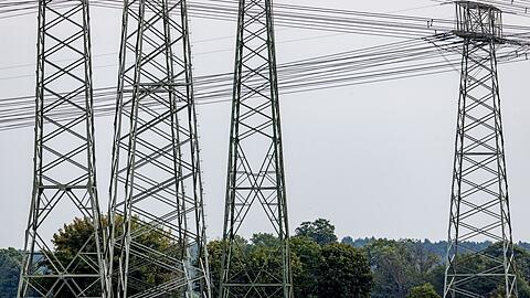 In den vergangenen Tagen hatte es mehrere versuchte Sabotagen gegen die Stromversorgung gegeben, unter anderem in Brandenburg. (Archivbild)