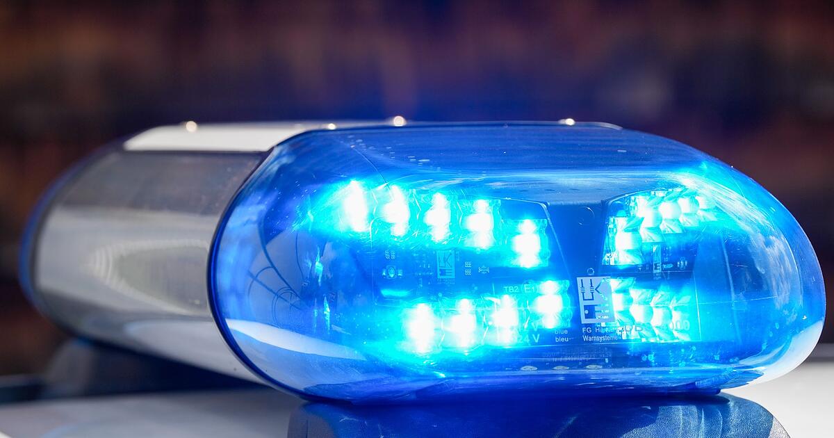 Flucht-vor-Polizei-endet-f-r-20-J-hrigen-im-Garten