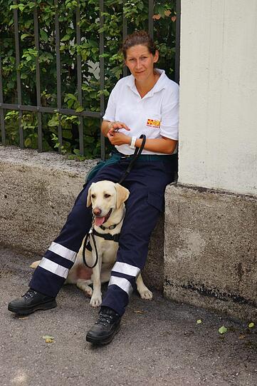 Unterwegs mit den Hunden