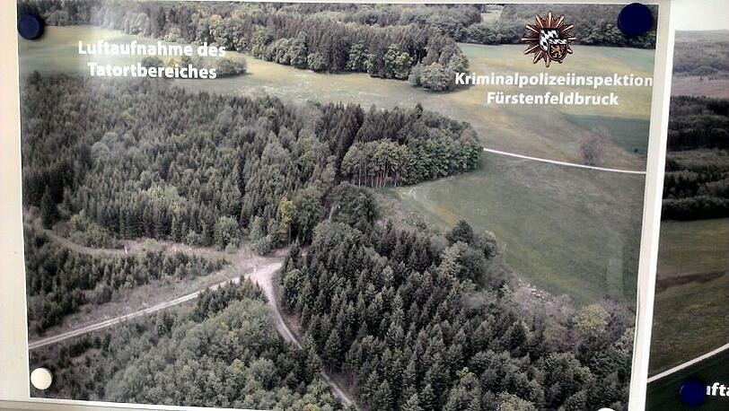 Eine Luftaufnahme des Waldstücks, in dem der Täter sein Opfer vergewaltigt haben soll.