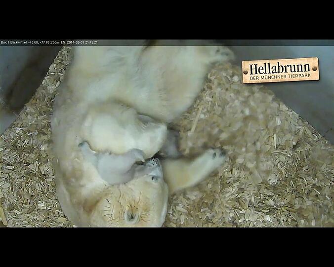 Tag 54: Lasst uns kuscheln!