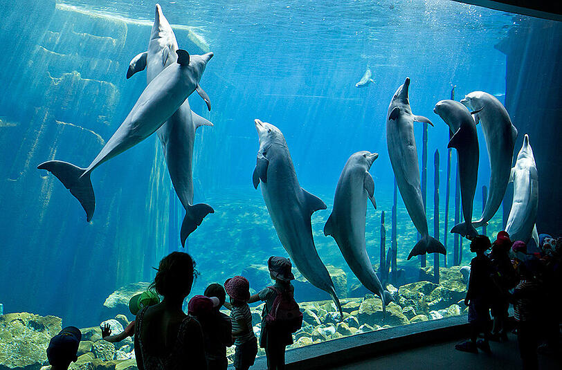 Blau schimmert die Delfin-Lagune. Doch sie verliert Wasser, was für Ärger sorgt.