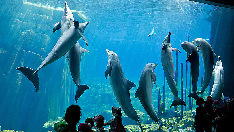Blau schimmert die Delfin-Lagune. Doch sie verliert Wasser, was für Ärger sorgt. Blau schimmert die Delfin-Lagune. Doch sie verliert Wasser, was für Ärger sorgt.