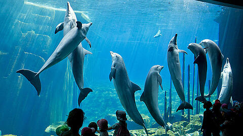 Blau schimmert die Delfin-Lagune. Doch sie verliert Wasser, was für Ärger sorgt.