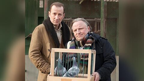 "Das Millionen Rennen": Ronny (Peter Lohmeyer, l.), Matthias (Axel Prahl) und die beiden Brieftauben Liz und Richard.