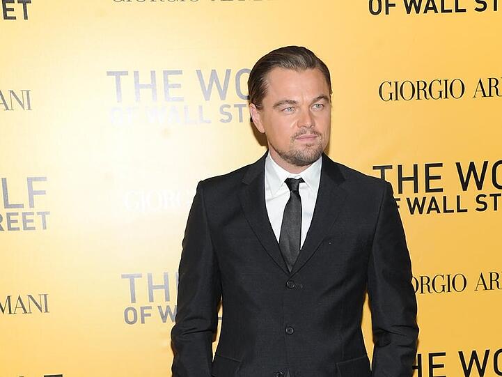 Um 17,35 Millionen Dollar reicher: Leonardo DiCaprio