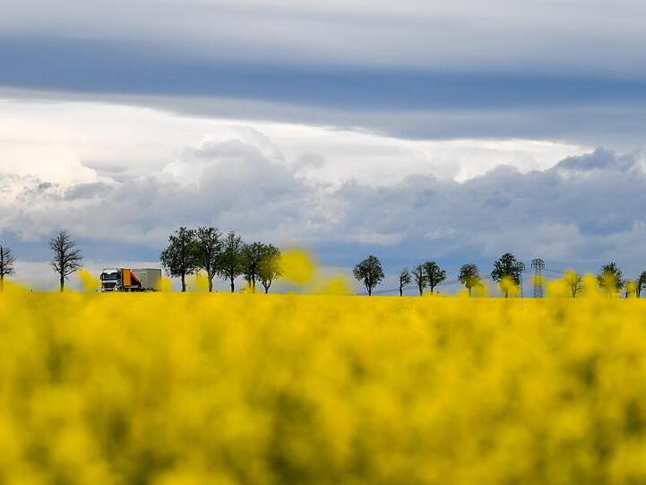 Dunkle Wolken ziehen über ein Rapsfeld.