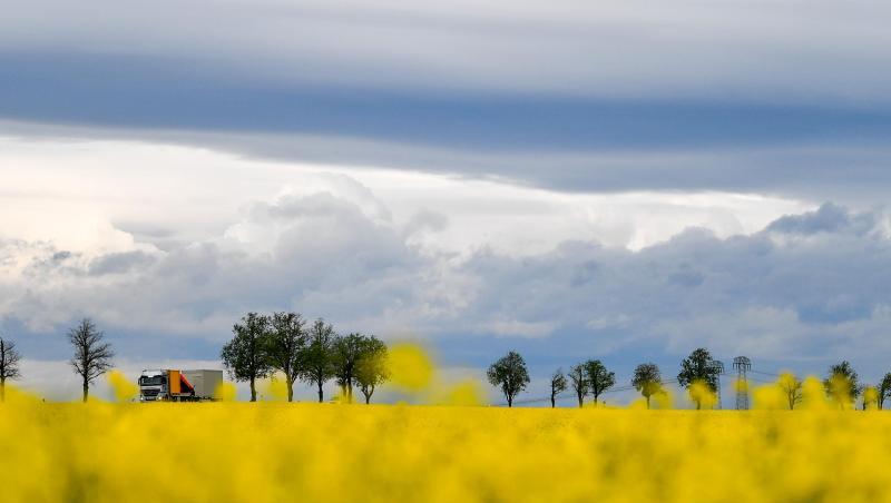 Dunkle Wolken ziehen über ein Rapsfeld. Dunkle Wolken ziehen über ein Rapsfeld.