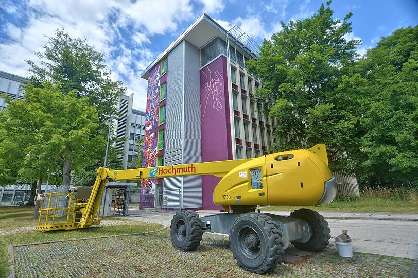 Diese großflächigen Graffitis zieren jetzt die Gebäude auf dem ehemaligen Siemens-Gelände.