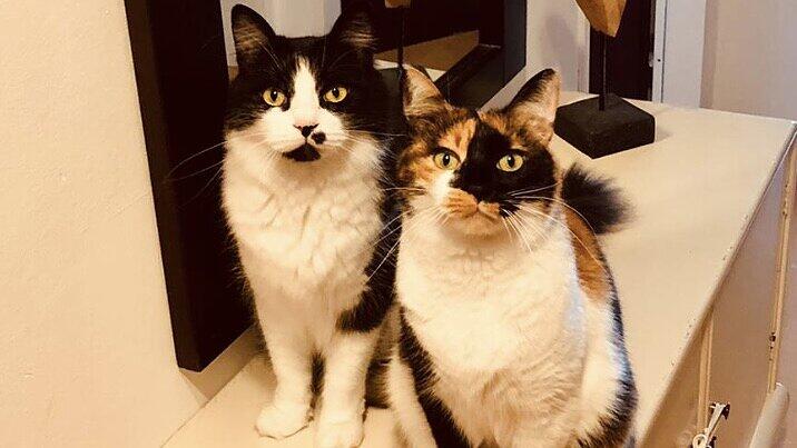 Charly und Lilly