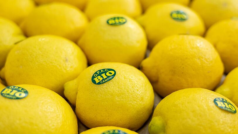 Bei vielen Verbrauchern sind Bio-Lebensmittel beliebt. (Symbolbild)