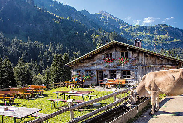 Willkommen am Berg: die malerisch gelegene Alpe im schönen Oberallgäu. Willkommen am Berg: die malerisch gelegene Alpe im schönen Oberallgäu.