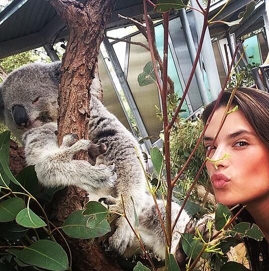 Alessandra Ambrosio.