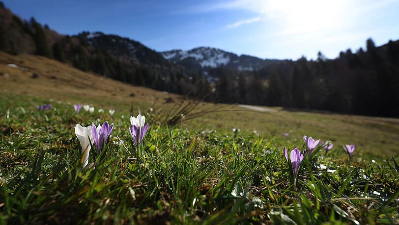 Fr&uuml;hlingsgef&uuml;hle - und dann wieder Regen. Es bleibt das Aprilwetter.