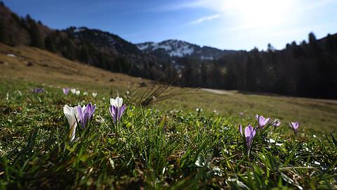 Fr&uuml;hlingsgef&uuml;hle - und dann wieder Regen. Es bleibt das Aprilwetter.