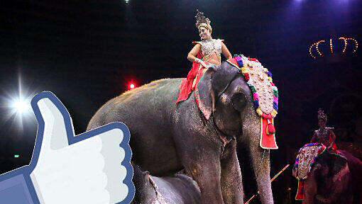 Hat sich der Circus Krone Facebook-Freunde gekauft? Hat sich der Circus Krone Facebook-Freunde gekauft?