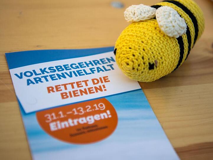Eine Wollbiene liegt neben einem Prospekt des Volksbegehrens "Rettet die Bienen" auf einem Tisch. Foto: Lino Mirgeler/Archivbild