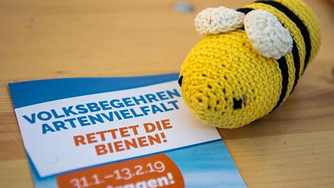 Eine Wollbiene liegt neben einem Prospekt des Volksbegehrens "Rettet die Bienen" auf einem Tisch. Foto: Lino Mirgeler/Archivbild