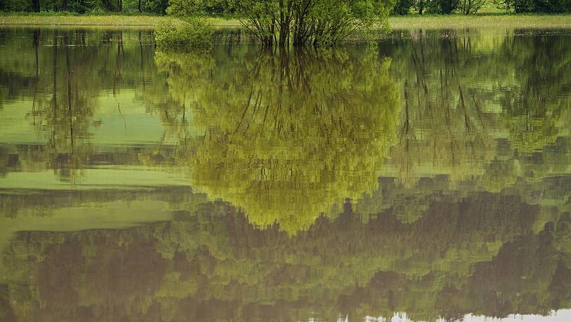 Ja, das ist ein Acker und kein See, und nein, das Bild ist nicht verkehrt herum: Auf vielen landwirtschaftlichen Flächen steht derzeit das Wasser. Ja, das ist ein Acker und kein See, und nein, das Bild ist nicht verkehrt herum: Auf vielen landwirtschaftlichen Flächen steht derzeit das Wasser.