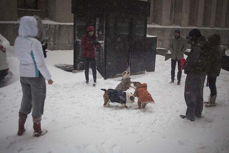 Die Bilder vom Schneechaos im Osten der USA.