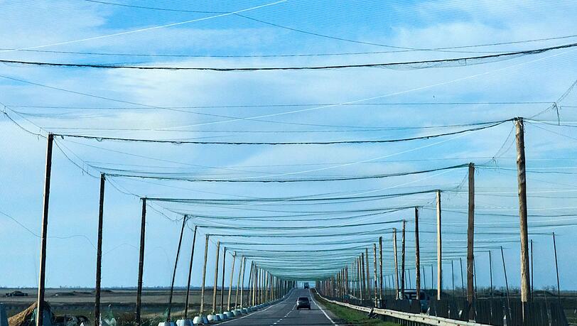 Netze über den Strtaßen bei Cherson sollen russische Drohnen abhalten. (Archivbild) Netze über den Strtaßen bei Cherson sollen russische Drohnen abhalten. (Archivbild)