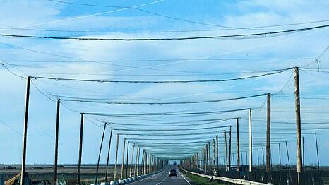 Netze &uuml;ber den Strta&szlig;en bei Cherson sollen russische Drohnen abhalten. (Archivbild)