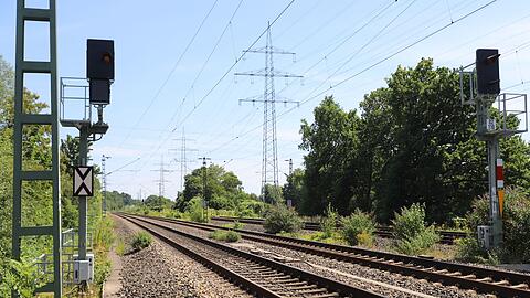 2023 hat die Bahn den Einsatz von Glyphosat eingestellt - und macht nun die Kehrtwende. (Archivbild)