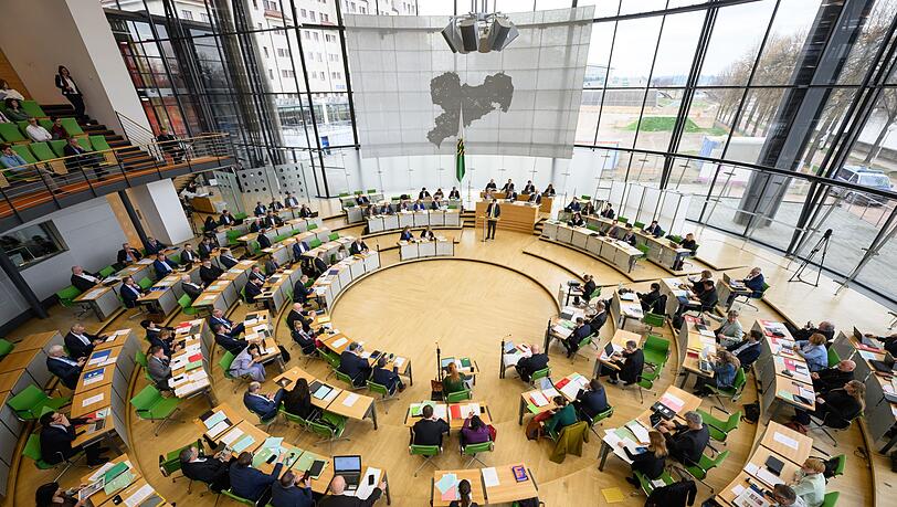 Der Gr&uuml;nen-Antrag zur Unterst&uuml;tzung kleiner Schlachtbetriebe bekam nur mit Hilfe von AfD und BSW eine Mehrheit.