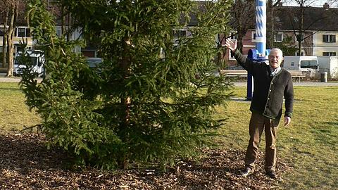 Da steht er, der neue, gut sechs Meter hohe Christbaum, den Stadtrat Otto Seidl am Luise-Kiesselbach-Platz hat aufstellen lassen.