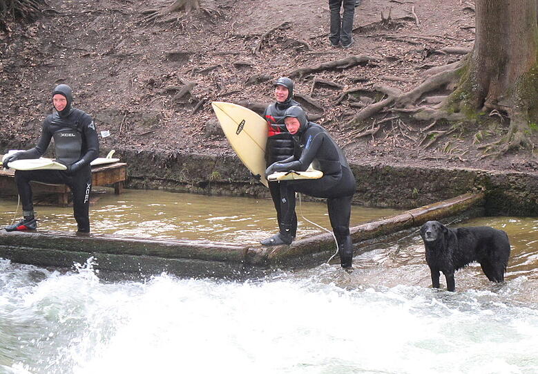 Lehel: Eisbach mit Hund.