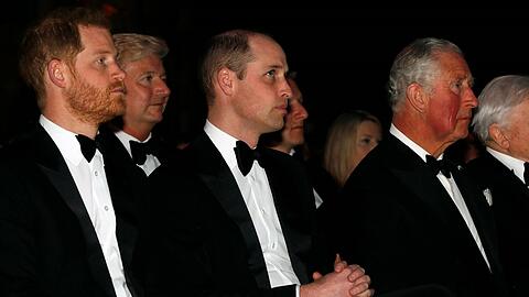Vor ihrem Treffen mit Prinz Harry sollen Prinz William und Prinz Charles eine Vereinbarung getroffen haben.