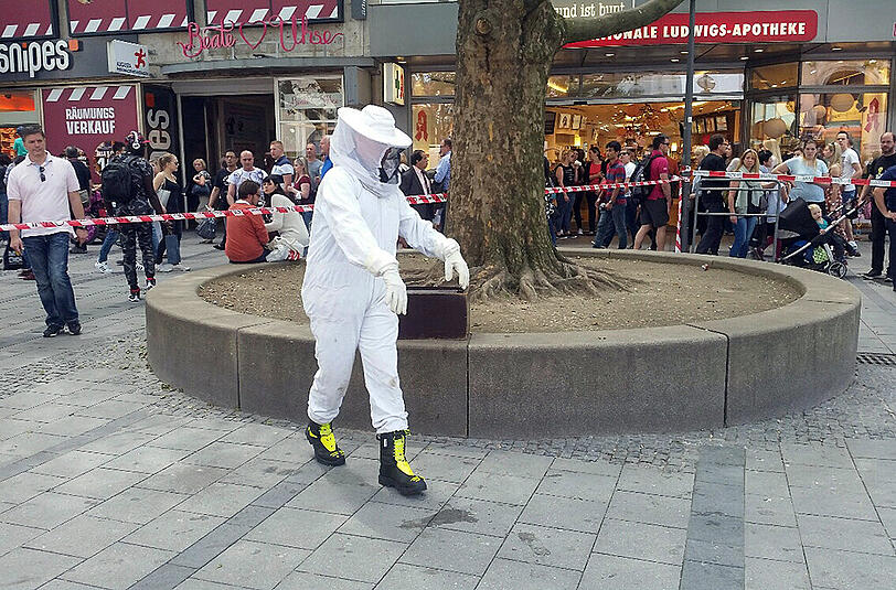 In der Fußgängerzone musste die Feuerwehr ein Bienenvolk einfangen. Die Bilder.
