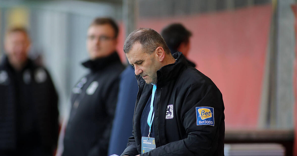 L-wen-Wunschzettel-F-r-diese-Positionen-werden-neue-Spieler-gesucht