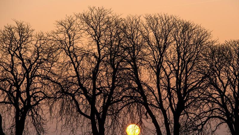 Die Morgensonne strahlt hinter einer Baumreihe hervor. Foto: Patrick Pleul/dpa-Zentralbild/dpa/Archivbild Die Morgensonne strahlt hinter einer Baumreihe hervor. Foto: Patrick Pleul/dpa-Zentralbild/dpa/Archivbild