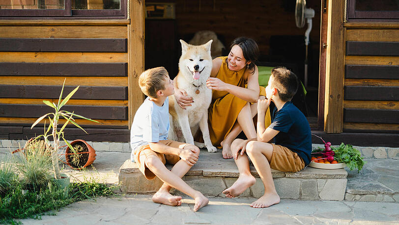 Ob beim Kuscheln oder Entdecken – kleine Rituale und gemeinsame Abenteuer im Urlaub stärken die Beziehung zwischen Mensch und Hund nachhaltig. Ob beim Kuscheln oder Entdecken – kleine Rituale und gemeinsame Abenteuer im Urlaub stärken die Beziehung zwischen Mensch und Hund nachhaltig.