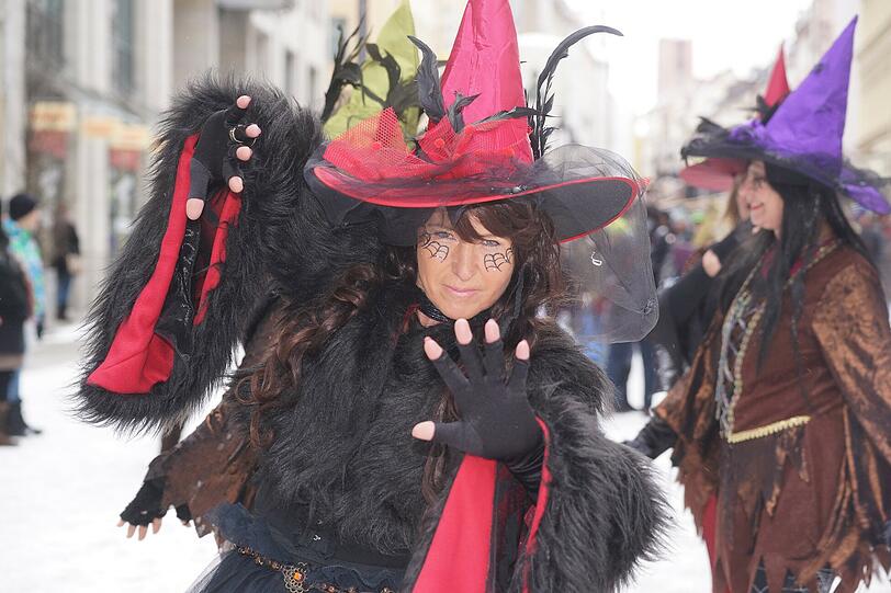 Weitere Bilder vom Faschingsumzug der "Damischen Ritter" in München am 08. Februar 2015.