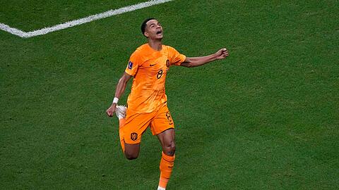 Der Niederländer Cody Gakpo feiert den Führungstreffer seiner Mannschaft gegen Katar.