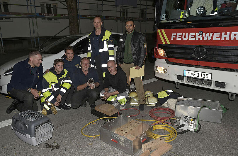 Die Münchner Feuerwehr konnte am Freitag eine Katze aus dem Motorraum eines Fiat Bravo retten.